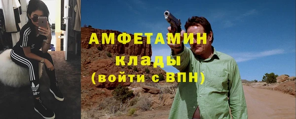 гидра Арсеньев
