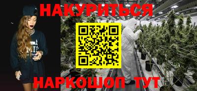 спиды Владимир
