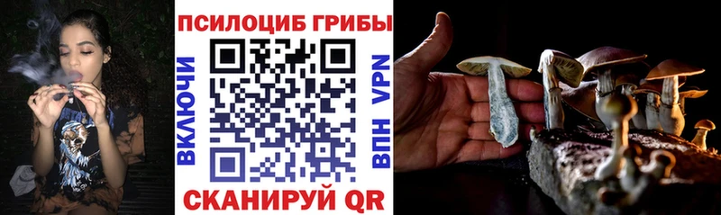 дарк нет как зайти  где можно купить наркотик  Белебей  Псилоцибиновые грибы Psilocybine cubensis 
