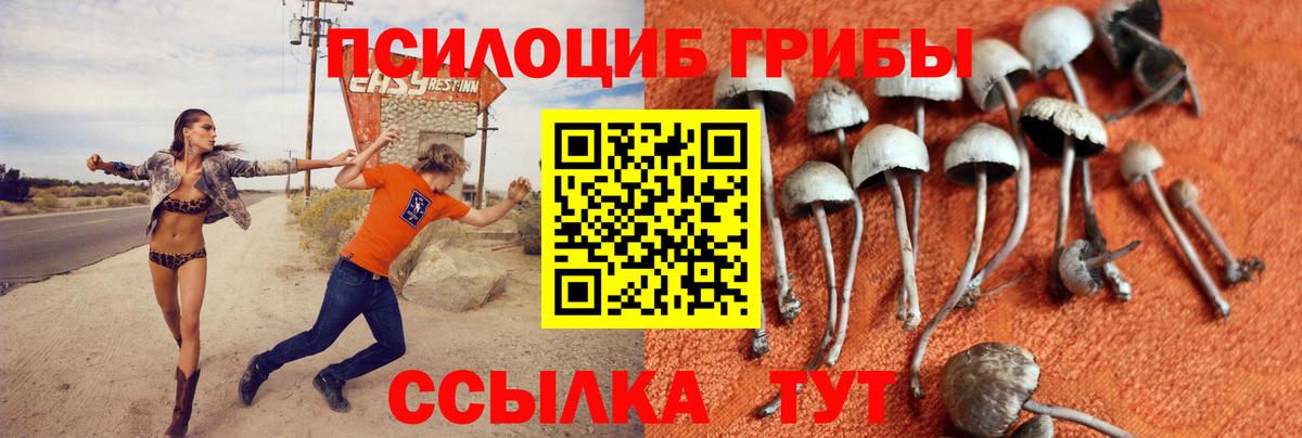 Белебей  Псилоцибиновые грибы Cubensis  Вход с VPN 