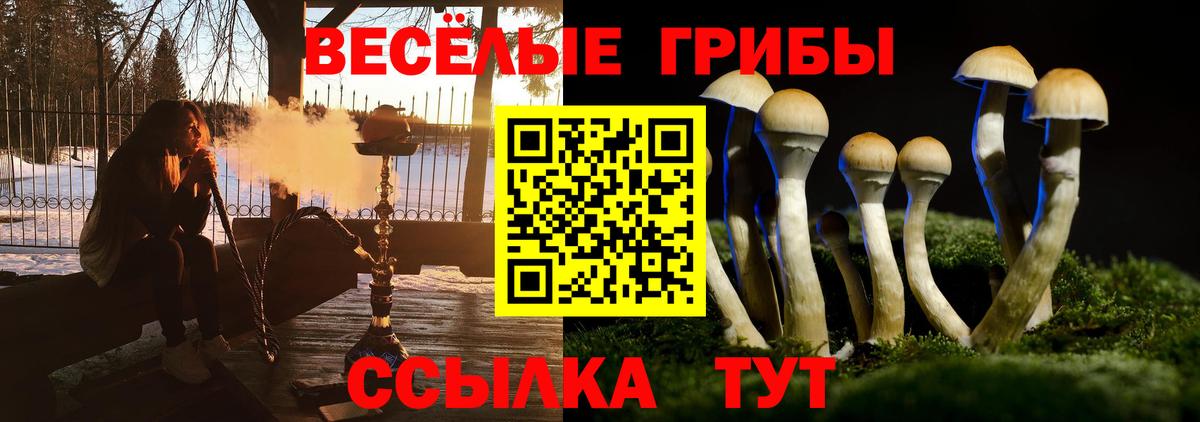 Псилоцибиновые грибы мухоморы Белебей